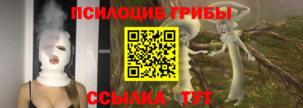 Галлюциногенные грибы прущие грибы  Вход с VPN  Галлюциногенные грибы Psilocybine cubensis  Аксай 
