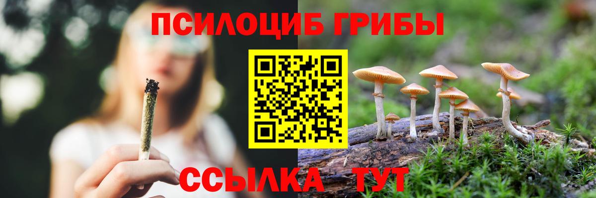 Галлюциногенные грибы Psilocybe Аксай
